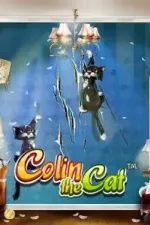 Colin the Cat